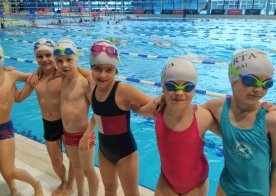 Laur Lubelskiego Koziołka - runda 1