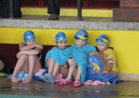 LIGA WOJEWÓDZKA W PŁYWANIU