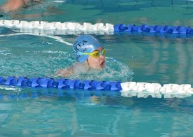 LIGA WOJEWÓDZKA W PŁYWANIU