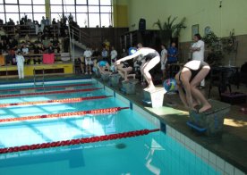 LIGA WOJEWÓDZKA W PŁYWANIU