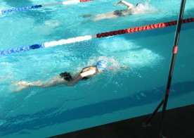 LIGA WOJEWÓDZKA W PŁYWANIU