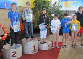 LIGA WOJEWÓDZKA W PŁYWANIU