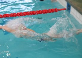 LIGA WOJEWÓDZKA W PŁYWANIU