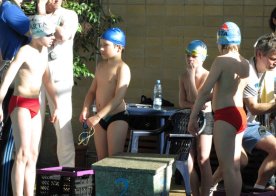 LIGA WOJEWÓDZKA W PŁYWANIU