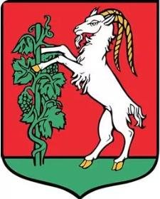 WOJEWODZKA LIGA DZIECI I MŁODZIKOW – I RUNDA